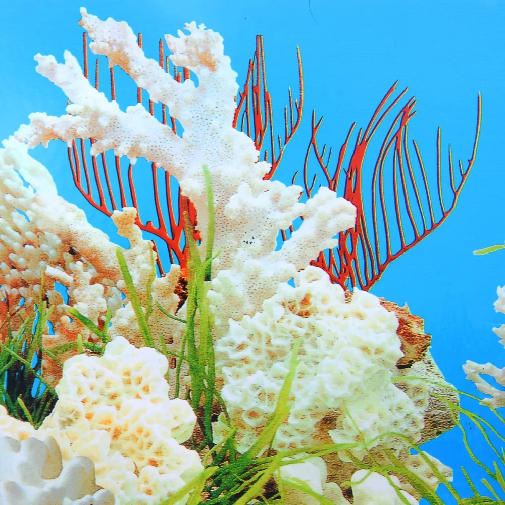 Декоративный плакат для аквариума двусторонний ПВХ|decoration fish tank|aquarium backgroundfish tank