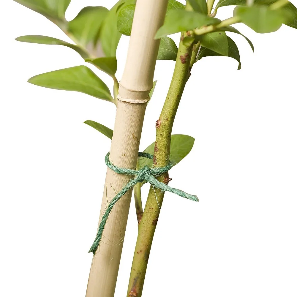 

Soft Green Garden Twine 328 Feet Jute Twine