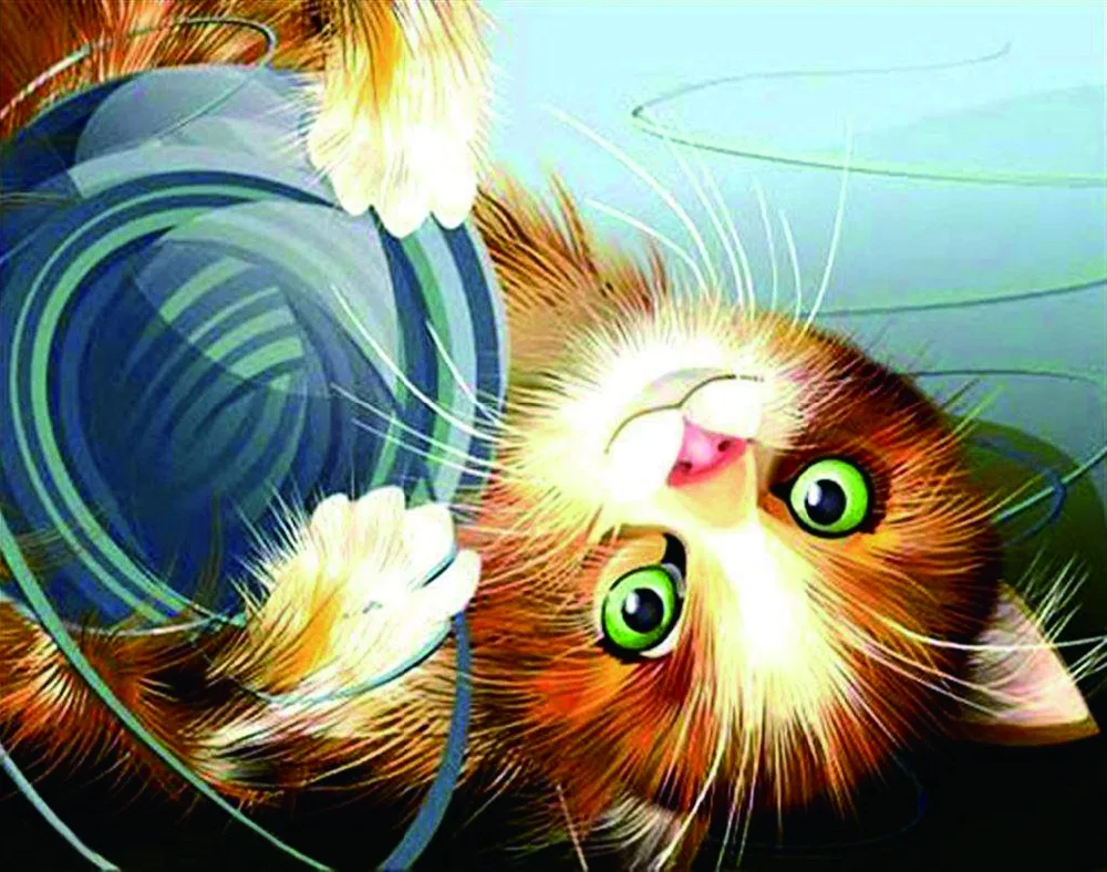 5D DIY алмаз вышивка живопись горный хрусталь алмазов картина dieren алмазная кот