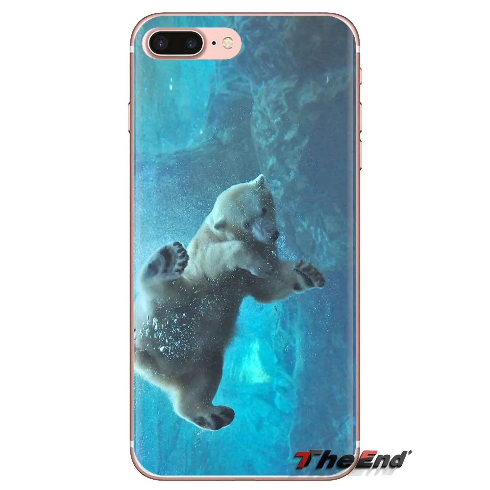 Polar bear in the shore of Alaska Silicone Phone Cases For Samsung Galaxy J1 J2 J3 J4 J5 J6 J7 J8 Plus 2018 Prime 2015 2016 2017 |