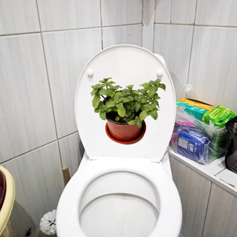 Наклейка на унитаз YOJA в горшке с зелеными листьями 22 8*20 4 см | Дом и сад