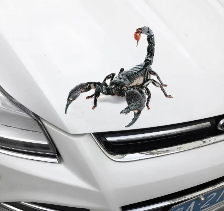 3D Автомобильная наклейка Имитация животных бампер s для паука геккона Скорпиона