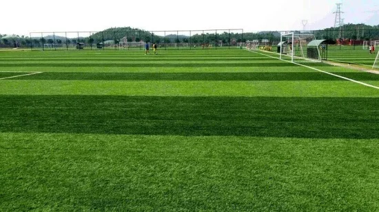 Синтетический газон для футбольного поля | Спорт и развлечения