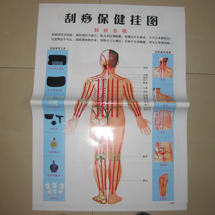 Диаграмма здоровья Guasha графическая карта для акупунктурного массажа