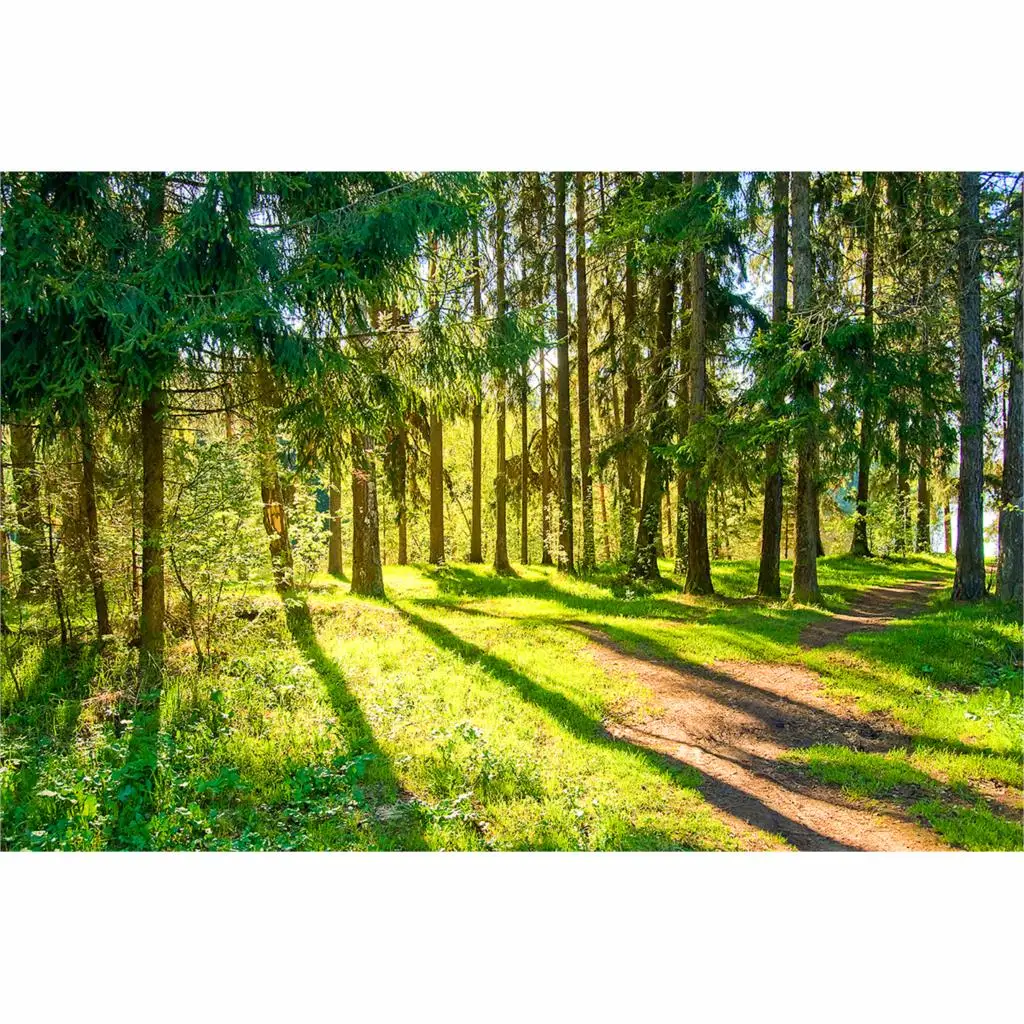 Allenjoy фотография Фон Акварельные картины пейзаж цифровое искусство Солнечная