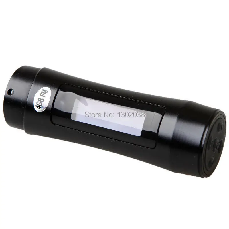 Металлический Чехол, новинка, 4GB lcd Водонепроницаемый спортивный MP3-плеер с HD экраном, fm-радио, многоцветная опция