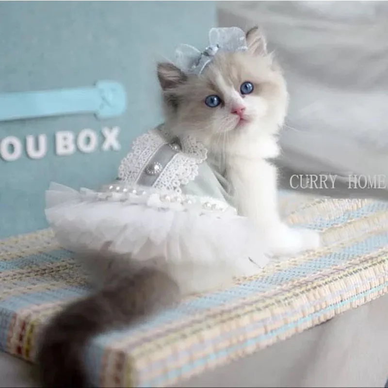 Платье Тедди для собаки принцессы винтажное Тюлевое кружевное с жемчугом