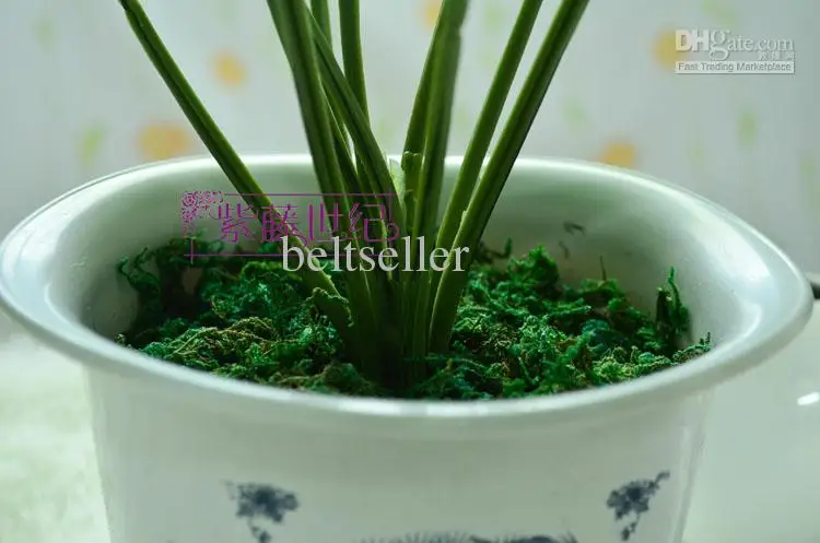 Высокое качество Зеленый мох Свадебный дом DIY Декоративная гирлянда цветы