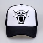 Кепка в стиле хип-хоп для мужчин, забавная сетчатая уличная Кепка для экстремального катания на тему мультфильма arctic cat ATV, летняя