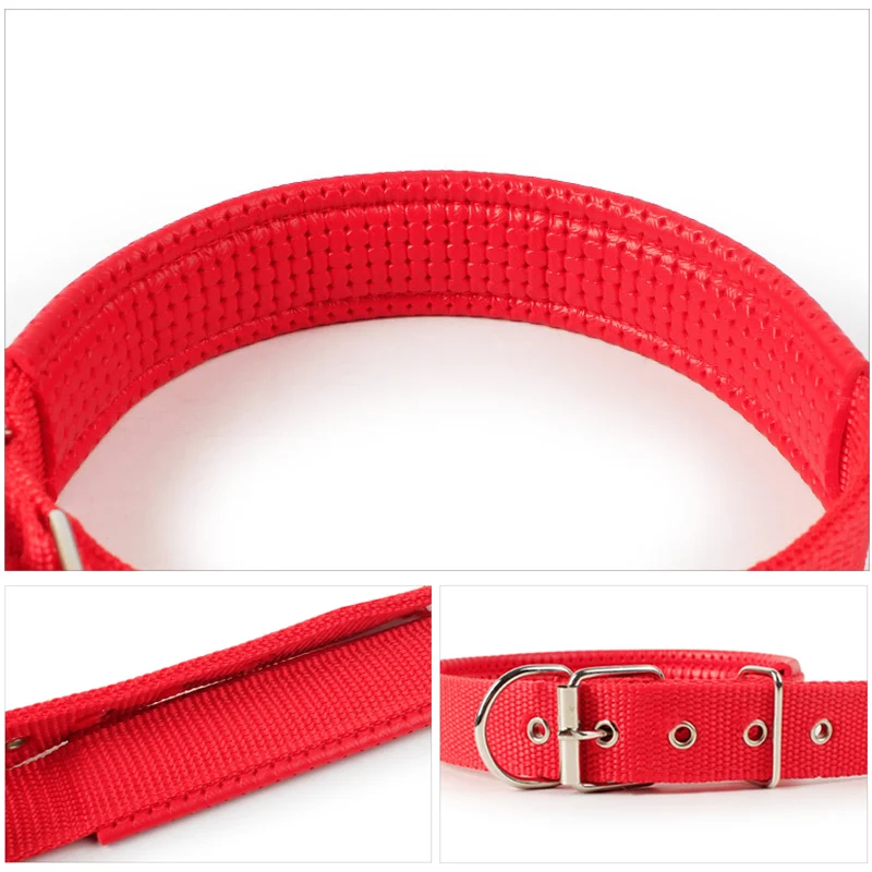 Ошейник для собак удобный регулируемый нейлоновый ошейник длиной 4 цветов