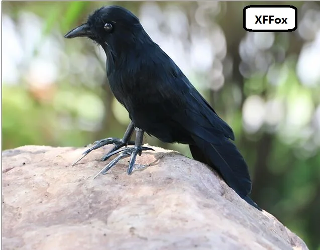 

new simulation cute crow model foam&furs black bird doll gift about 18cm xf0397