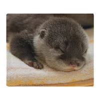 sleeping otter soft fleece throw blanket soft flannel blanket to on for the sofabedcar portable plaids