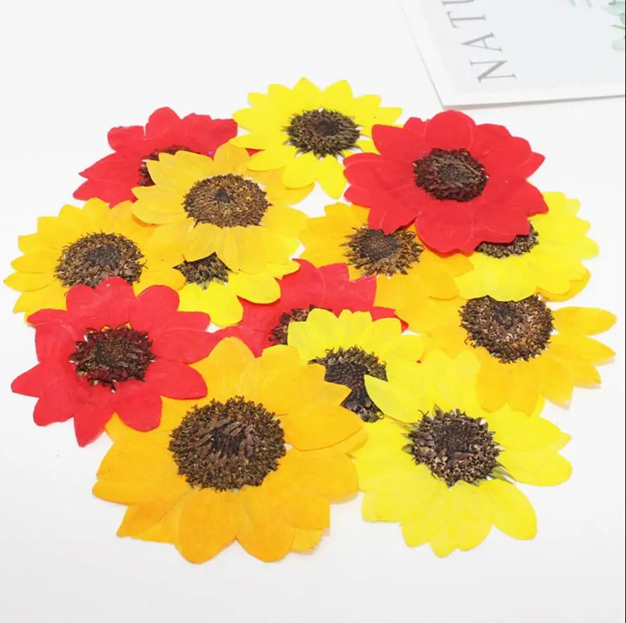 

60pcs 5cm Pressed Dried Sunflower Flower Plant Herbarium For Jewelry Bookmark Phone Case Scrapbooking DIY Making Accessories
