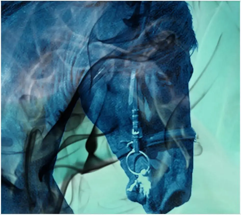 WDBH пользовательские фото 3d обои красочная лошадь бег ручная роспись маслом