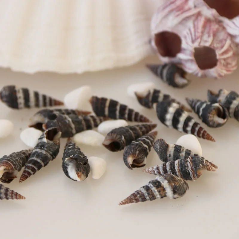 Бесплатная доставка (50 шт./лот) черный конусный винт натуральный корпус & раковины