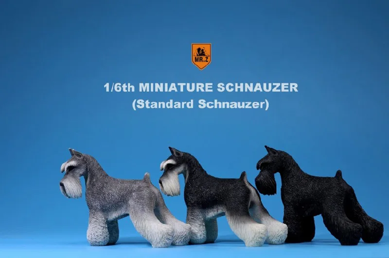 1:6 весы рисунок аксессуары для сцены м R.Z Смолы миниатюрный Стандартный шнауцер