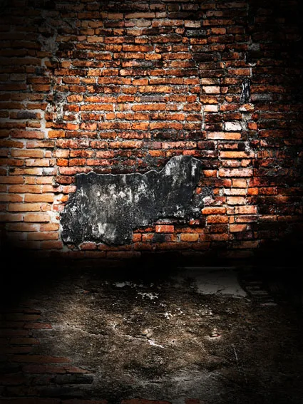 

VinylBDS No Creases Background Photography Backdrops Broken Wooden Bricks Photography Back Photographic Studio J01146