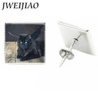 JWEIJIAO модные черные серьги в форме кота 2017 женские квадратные серьги-гвоздики для Хэллоуина вечеринки ювелирные изделия подарок J87