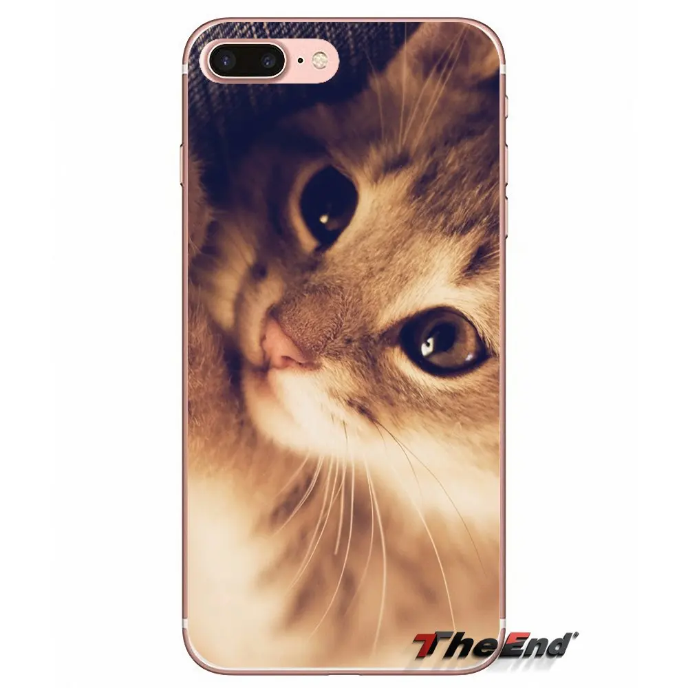 Кошачья одежда очки Забавный силикагель ТПУ чехол для samsung Galaxy S2 S3 S4 S5 MINI S6 S7 edge S8