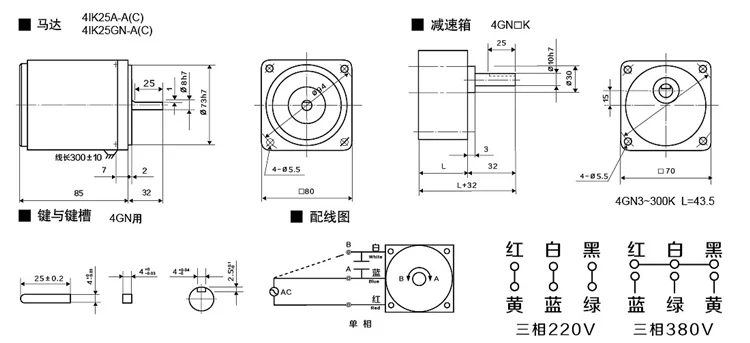 6W / 15/25/40/60/90 / 120W 220V AC gear speed motor / gear motor / governor