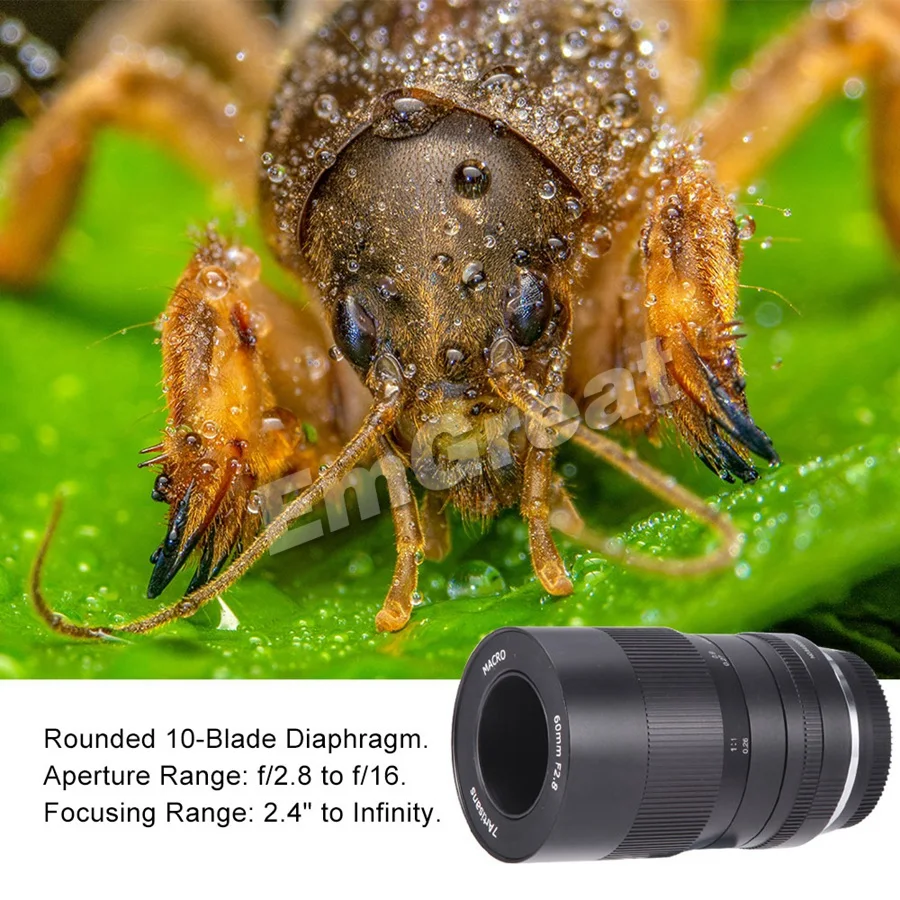 7 ремесленников 60 мм f2.8 1:1 увеличение макрообъектив подходит для sony E-mount Canon EOS RF Fuji M43 Nikon Z Mount беззеркальная камера