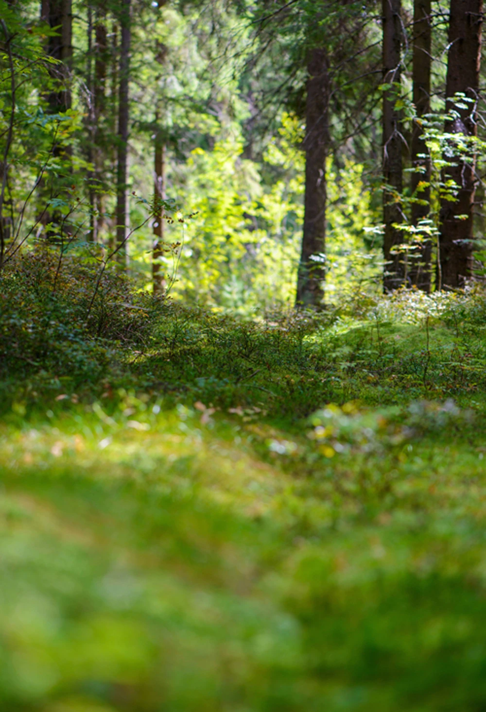 Huayi тканевый фон для фотосъемки новорожденных детей XT 4606|background wood|background supportbackground