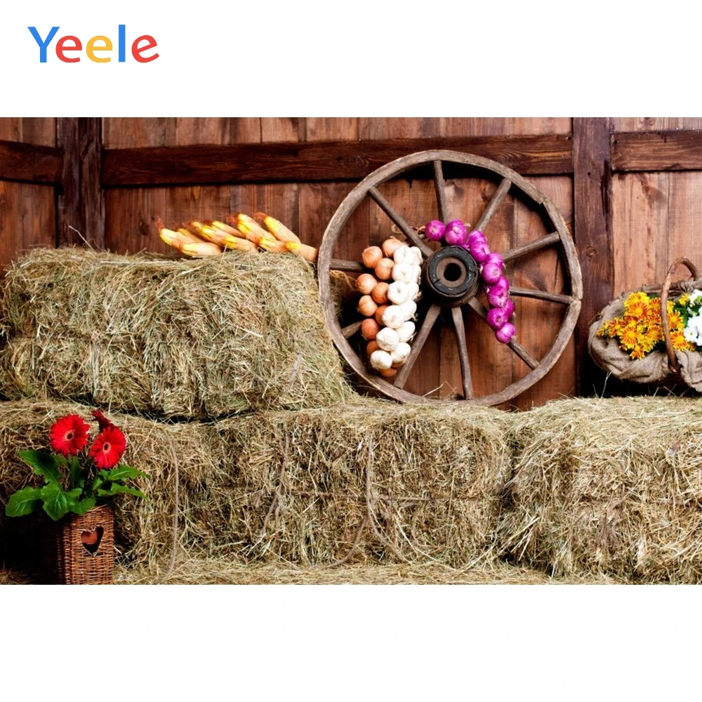 Yeele осенний Сельский фермерский сарай стог сена Кукуруза сцена ребенок