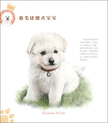 

Cartoon Dog drawing books Sketch Pencil Painting Techniques Chinese art book Animal color pencil painting textbook
