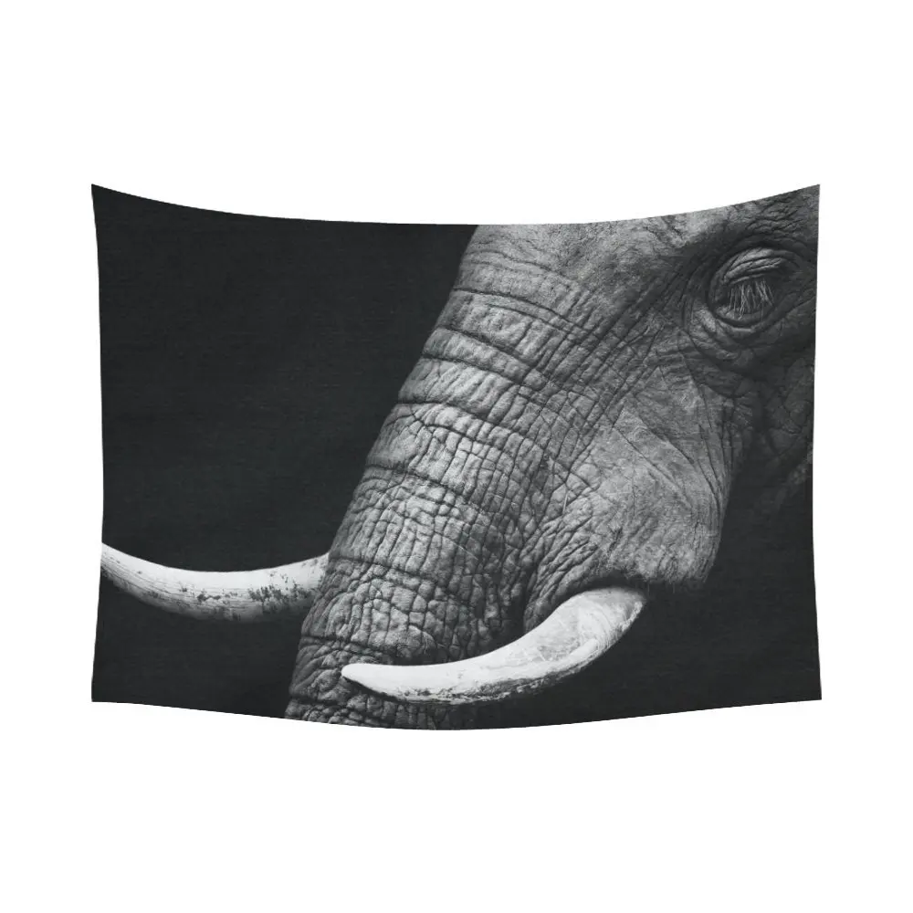 Теплые Tour животных стены Книги по искусству Домашний декор Черный и белый голова