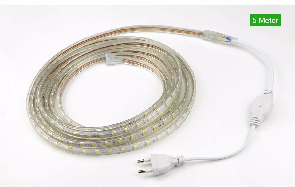 220 В Светодиодная лента RGB Водонепроницаемый 5050 1 м/2 м/3 м/4 м/5 м/6 м/7 м/8 м/9 м/10 м/15 м/ 20 м 60 Светодиодный s/M силиконовая трубка Диодная лента с вилкой ЕС