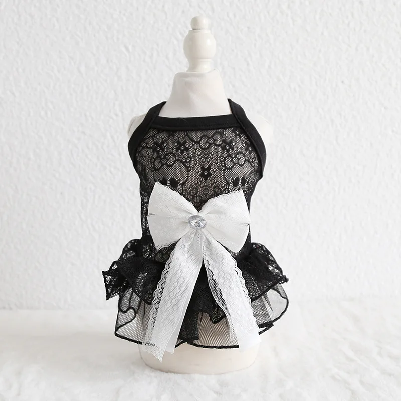 2019 ограниченная по времени однотонная 100% хлопковая весенне-летняя Новинка