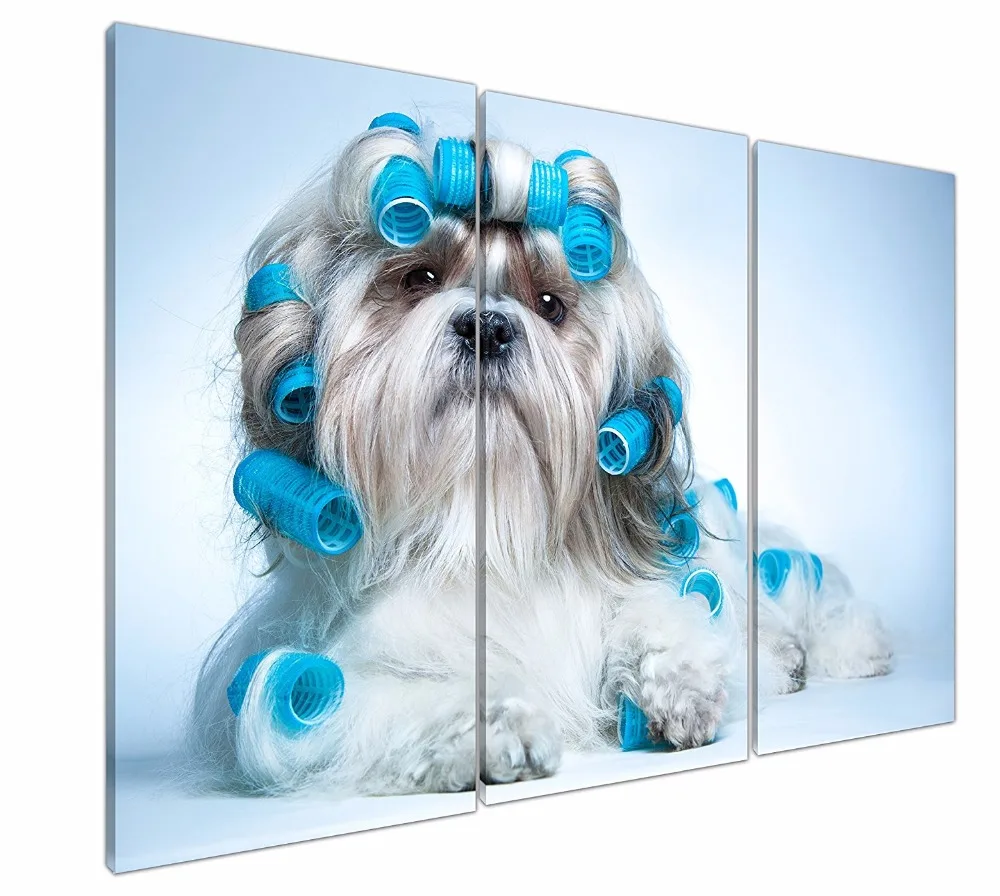 3 шт. рисунок на холсте красивые милые кудрявые Shih Tzu собака щенок фото картины