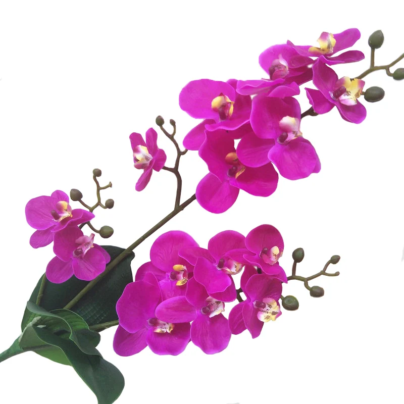 ROSE RED JAROWN искусственный настоящий сенсорный латексная бабочка Орхидея Флорес 3 ветка 15 головная повязка лист искусственный цветок для свадьбы декор украшения дома - Цвет: ROSE RED