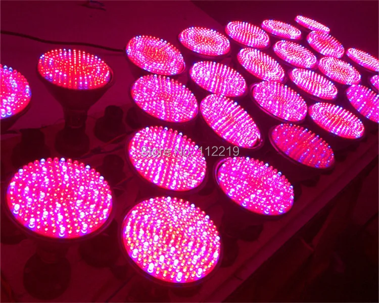

10w grow lights red blue E27 par38 Epistar/ BridgeLux led chip plant light for flower plant hydroponics system