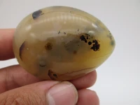 50g real natural madagascar marine chalcedony marine stone specimen ocean jasper agate teaching material collection