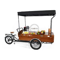 3 Wheel electric pedicab rickshaw passenger cargo bike tricycle bicycle