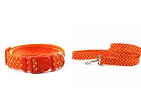 pet collarleash dot fashion design pet dog collars and traction s l size nylon collar pet dog collar leash nylon