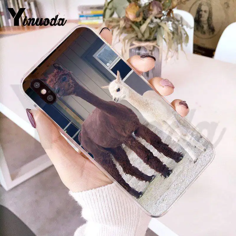 

Yinuoda Lama Llama Alpacas Animal Transparent Phone Cover Case for iPhone 8 7 6 6S Plus X 5S SE XS MAX XR11 11pro 11promax