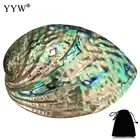 90x120x39 мм большая раковина Abalone (4-5 