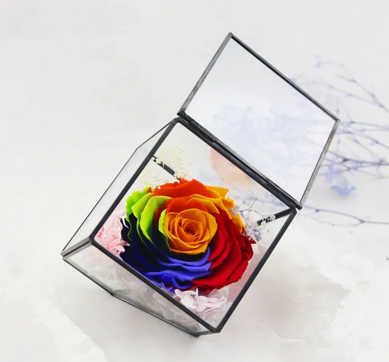 Score+solder Free Closed Small Cube Glass Greenhouse Flower Micro Landscape | Дом и сад