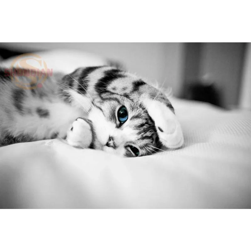 Новый милый атласный постер с изображением кошки и животных на заказ тканевый