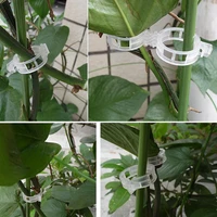 50 pcs tomato clips trellis garden plant flower vegetable binder twine plant support greenhouse clip supplies