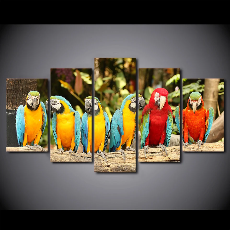 5 шт. настенные картины с изображением попугая|picture for living room|wall pictures5 piece canvas art |