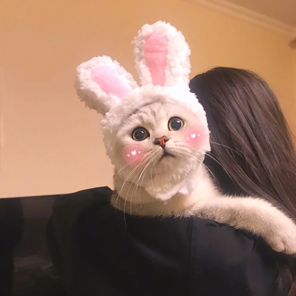 Забавная Кепка для кошек костюм кепка домашних животных теплая шапка с кроликом