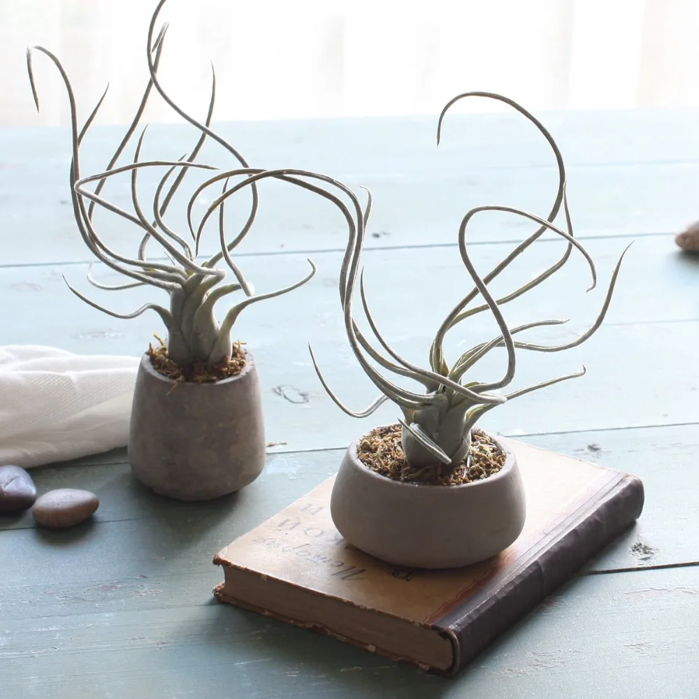 Детские хлопковые конфеты bulbosa искусственный осьминог искусственное растение