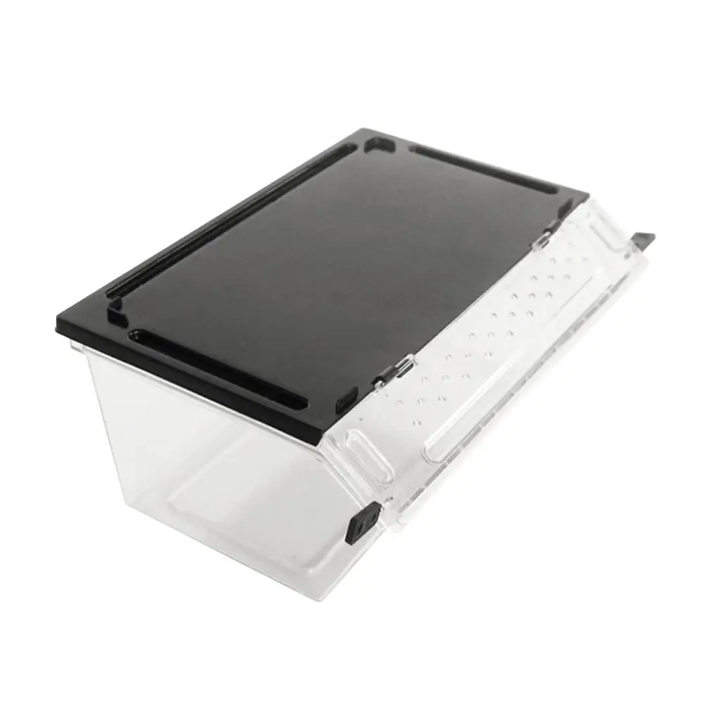 Рептилия змея паук ящерица Скорпион цельная рогатая лягушка Гекко Жук Насекомое