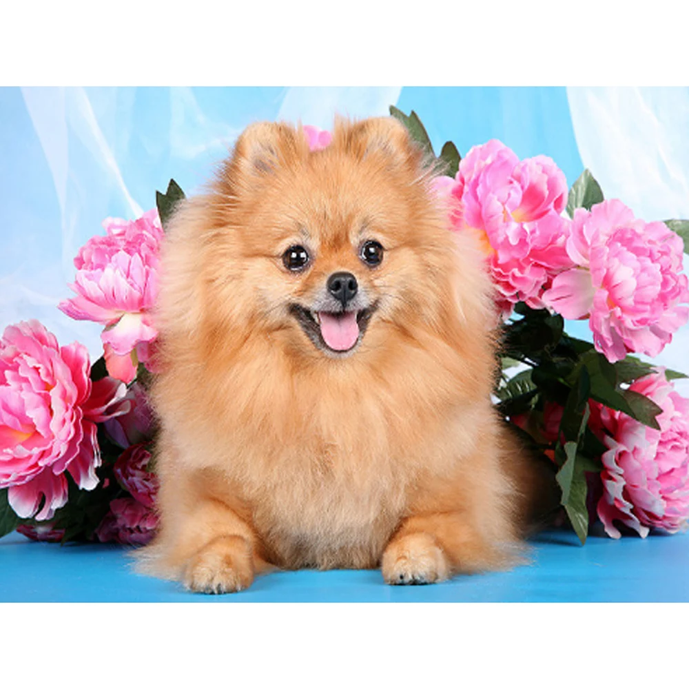 Diamond Painting Full drill square/round Brown fox dog Mosaic DIY Cross Stitch Embroidery Home Decor |