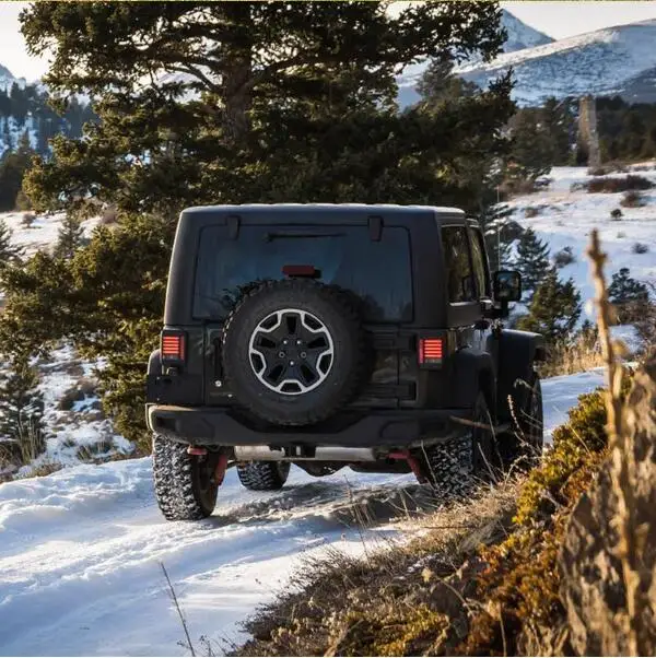 Акция! Задний светодиодный фонарь заднего хода для Jeep Wrangler CJ JK TJ 1 пара |