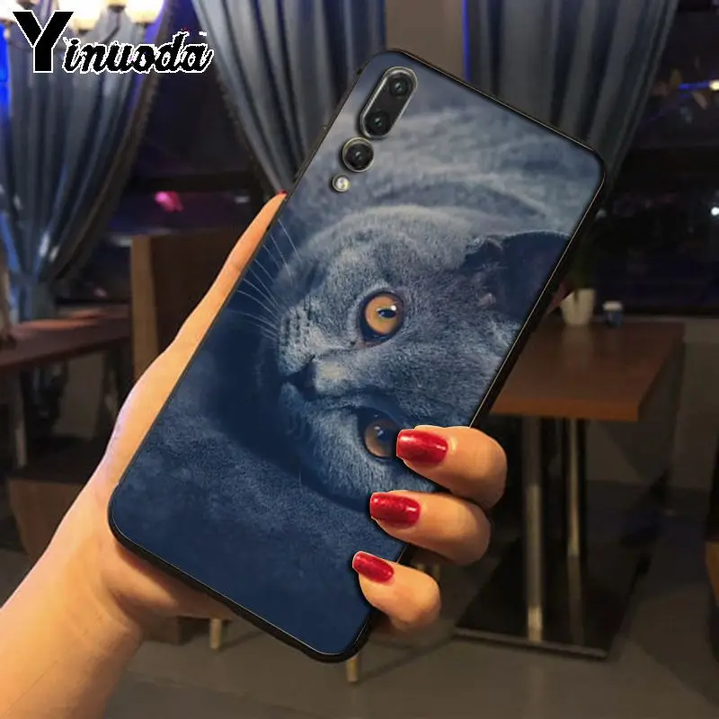 Yinuoda Британский короткошерстный чехол для телефона с кошкой Huawei P20pro mate10lite p9 p10plus