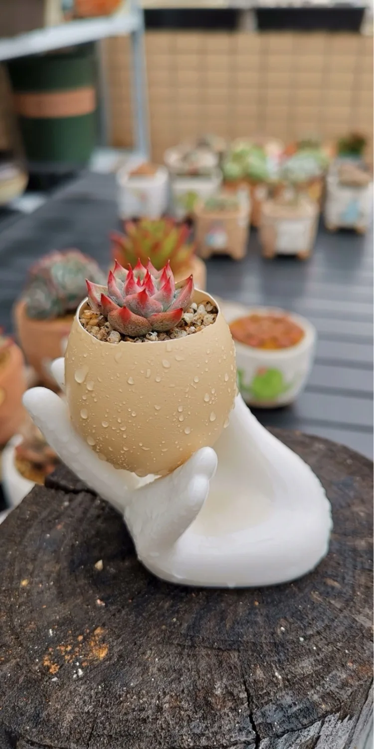 8 шт. керамический держатель для яиц в форме руки мягкий или твердый вареный